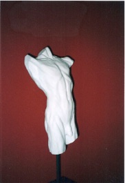 Portretten van kinderen Torso door Miriam ter Braak