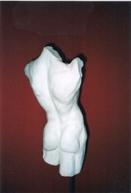 Torso door Miriam ter Braak